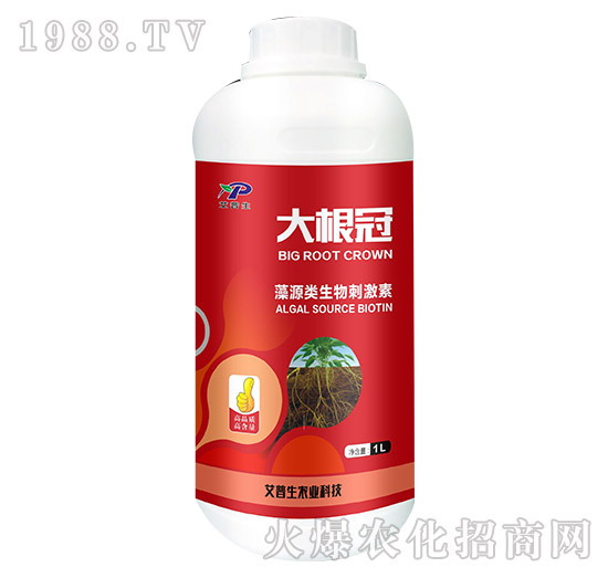 ��Դ�������-�����-������