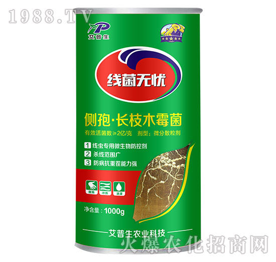 ��(c��)�ߡ��L֦ľù��-�����o�n-������