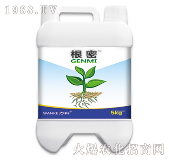 ����-�f��