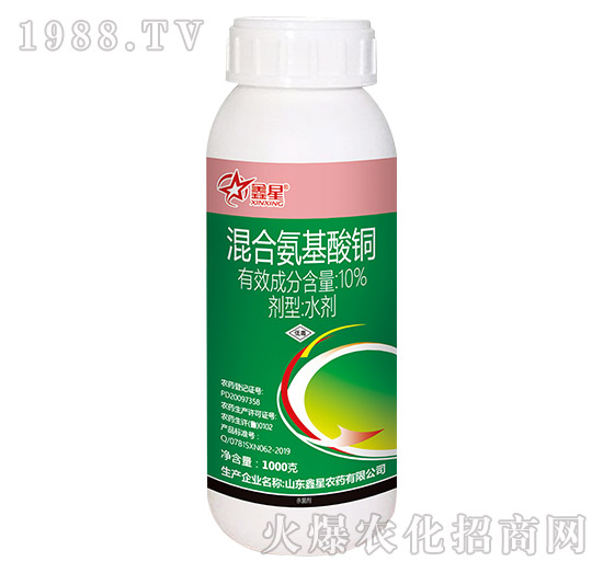 10%��ϰ������~-����