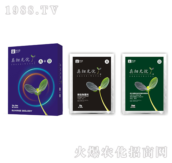 ΢�������-�漚(x��)�o�nA+B-��������