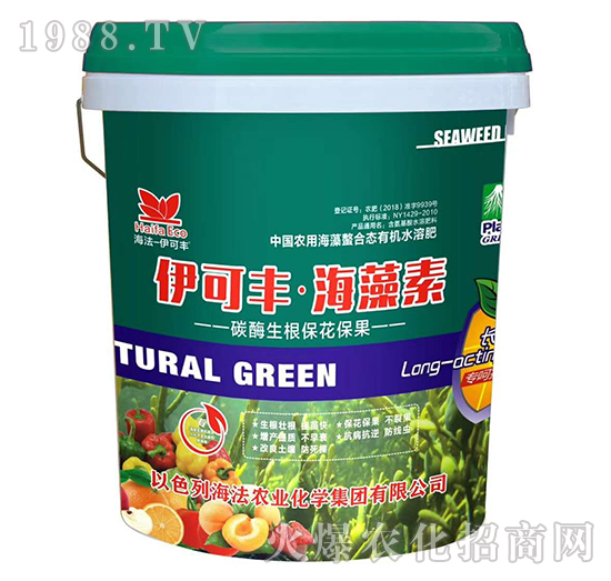 ̼ø������������-�����S��������-����