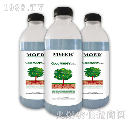 �Ì���-Ħ������