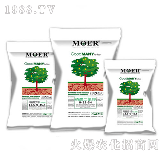 �����-��������-Ħ������