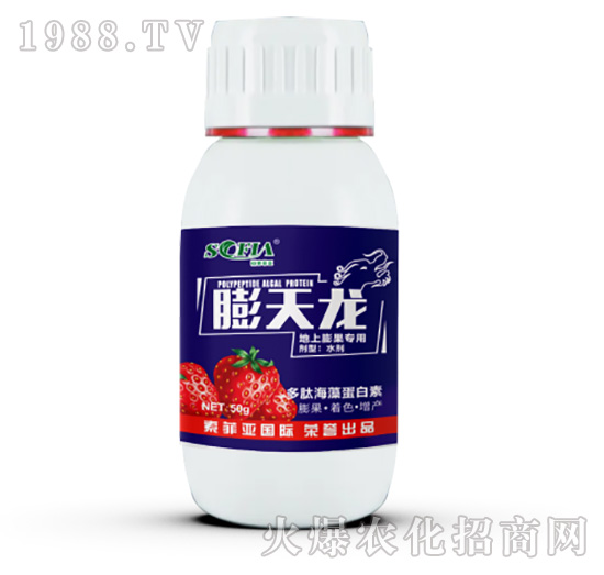 ���������(zhu��n)��-������-���Ɓ�