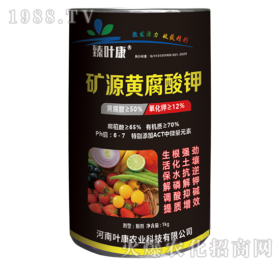 �VԴ�S�����-���~��-�~���r�I(y��)