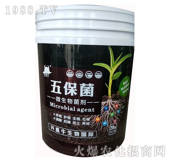 ΢�������-�屣��-�_(k��i)��ţ