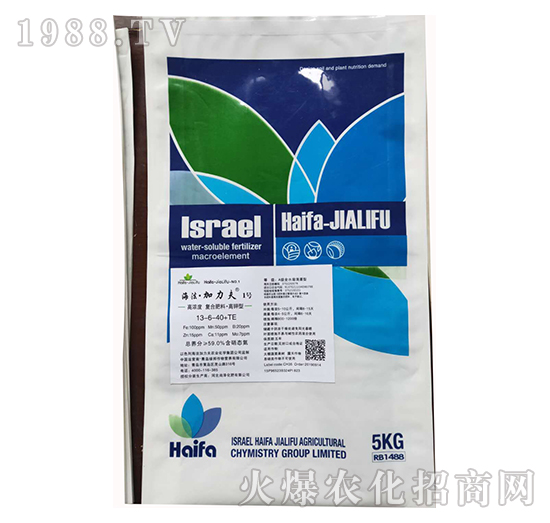 ����͏ͺϷ���13-6-40+TE-����������1̖-����������