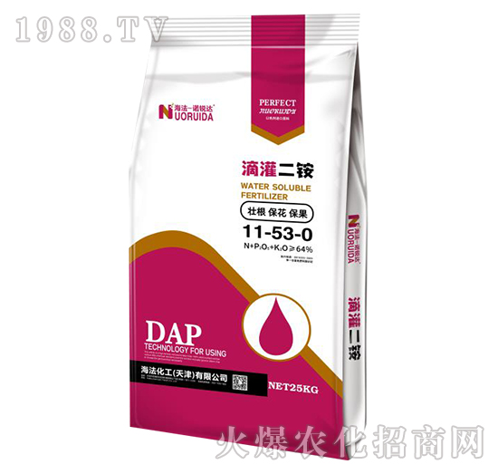 �ι���@11-53-0-�Z�J�_-��������