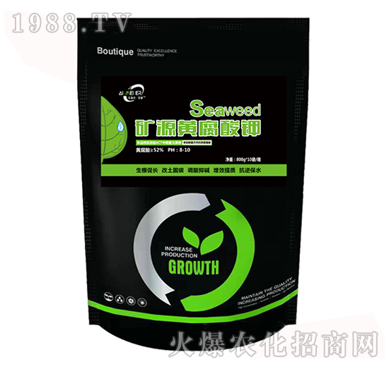 �VԴ�S�����-�����������u