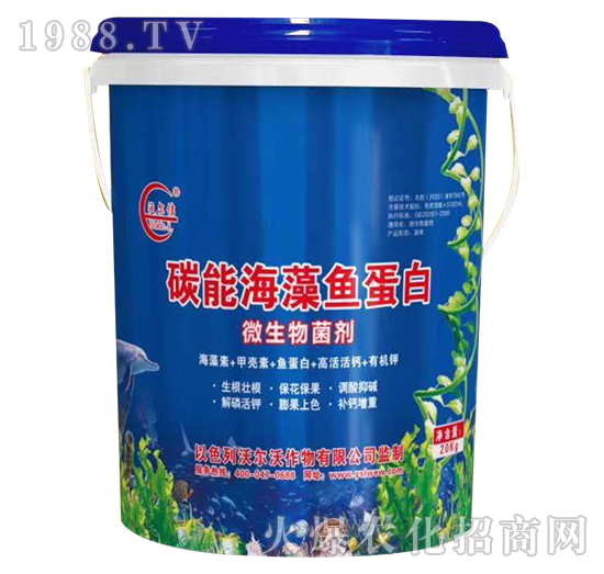 ̼�ܺ����~����-�֠�٥-�֠���