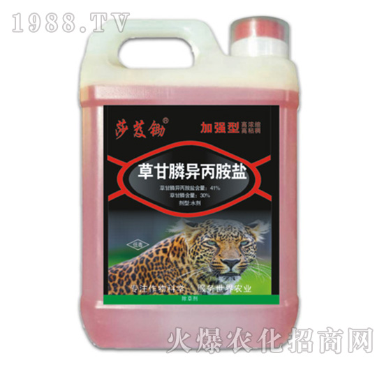 41%�ݸ�좮������}���ӏ�(qi��ng)�ͣ�-ɯܸ�z-�ݵ�˹