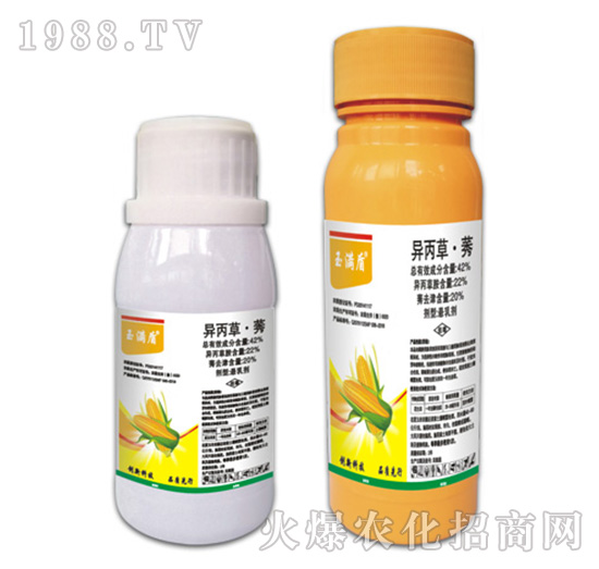 42%異丙草·莠-玉滿盾-拜迪斯