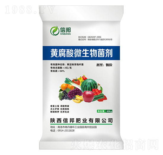 �S����΢�������-�Ű�ʘI(y��)