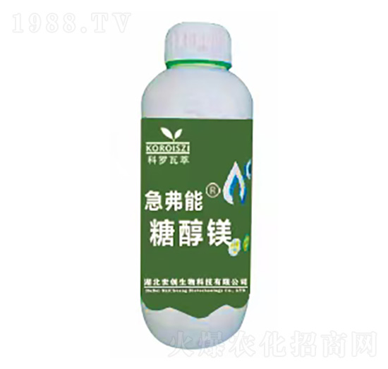 �Ǵ��V-������-����(chu��ng)����