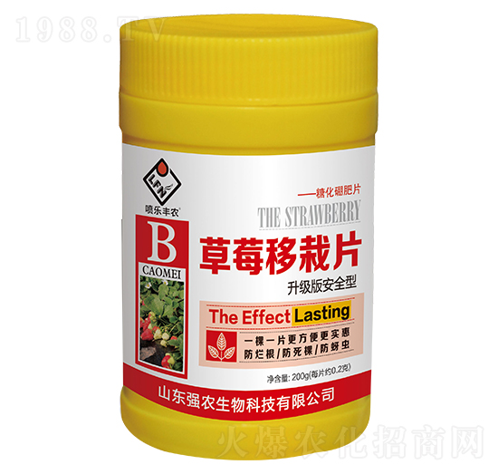 ��ݮ����Ƭ-��(qi��ng)�r(n��ng)����