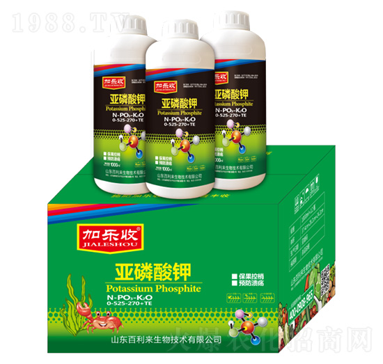 �������0-525-270+TE-�Ә�(l��)��-������(l��i)