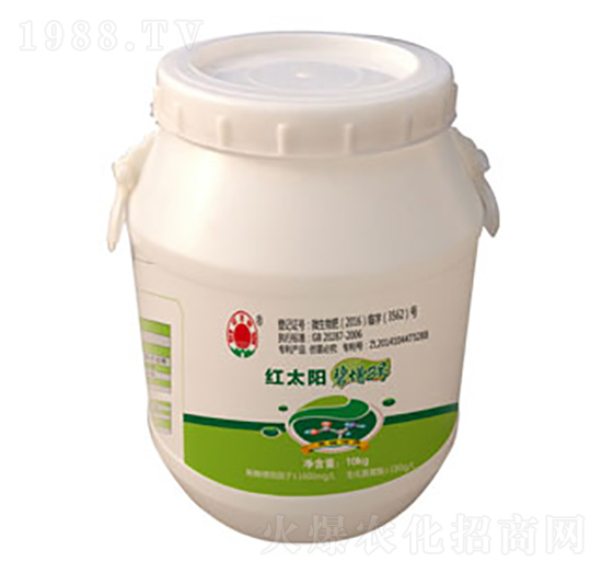 ����2̖�~���-�ư�