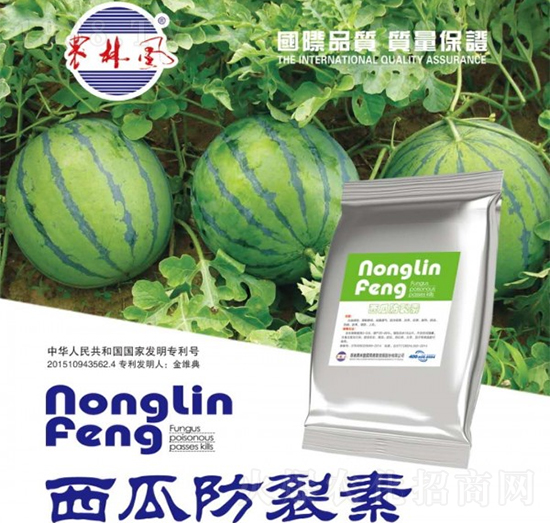 ���Ϸ�����-�r���L-��S��