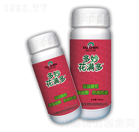 ����M��-��������