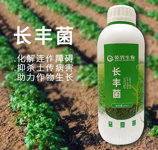 �L(zh��ng)�S��-Ǭ������