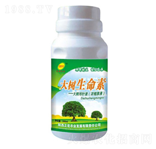 ���������-�����r�I(y��)