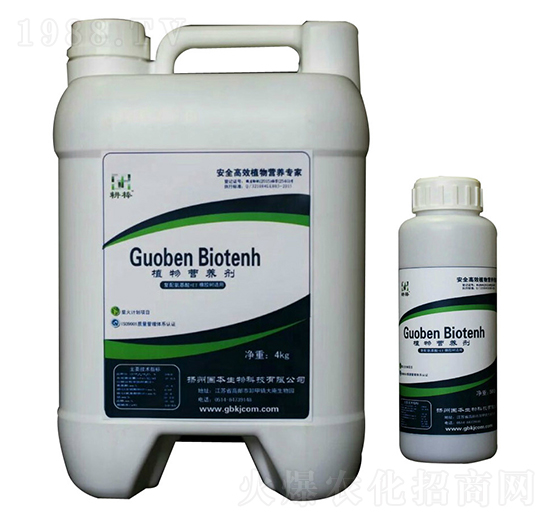 ���z��-ֲ��I(y��ng)�B(y��ng)��-��(gu��)������