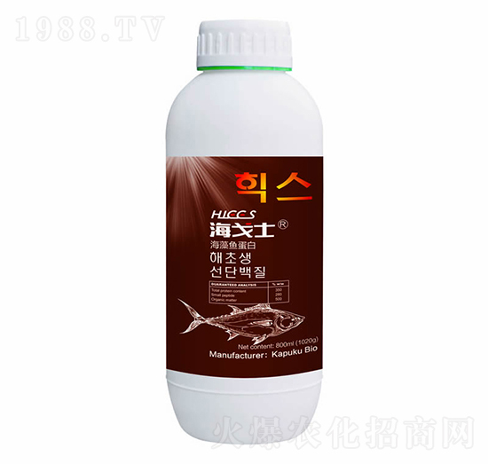 �����~����-����ʿ-���Վ�(k��)����