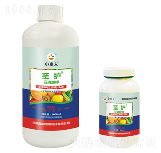 ƿ�b���o(h��)�������-С����-�Ʒ����