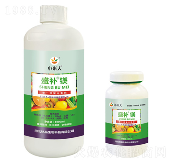 ƿ�bʢ�a(b��)�V-С����-�Ʒ����