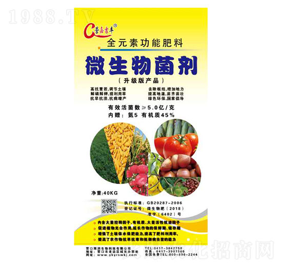 ΢�������-�ꝙ����