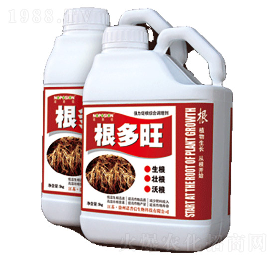 ������-�Z����