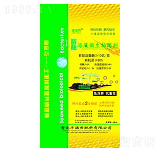 ̼ø�����������-�S�M��