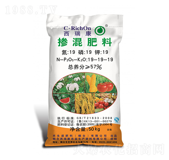 �������19-19-19-����-��֮��