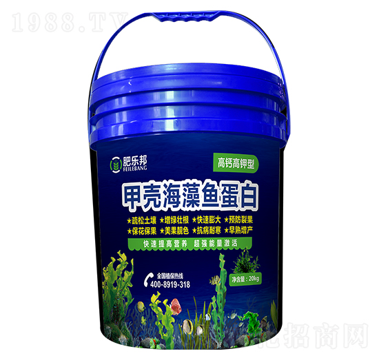 �ך������~����-�ʘ�(l��)��-�׶���