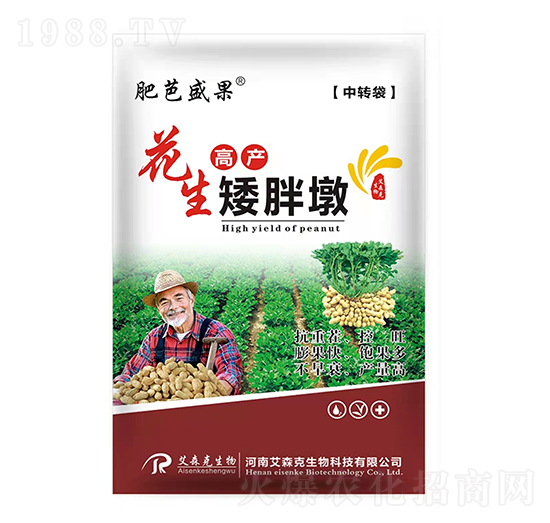 �����߮a���ֶ�-�ʰ�ʢ��-��ɭ��