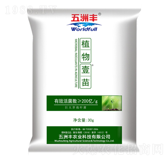 ֲ��Ҽ��-�����S