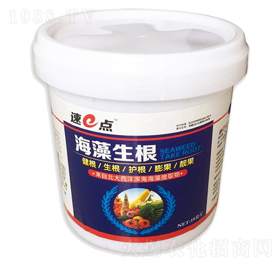 ����s����������-��e�c(di��n)-�T��