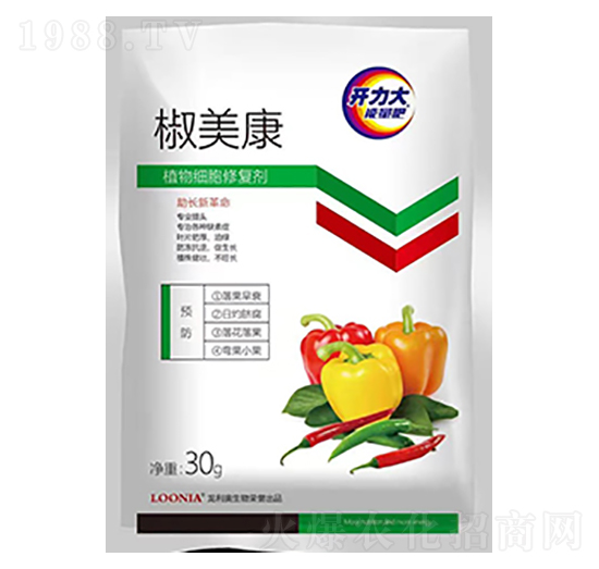 ֲ�：���ޏ�(f��)��-������-�����W