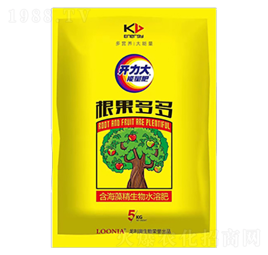 �������-�����W