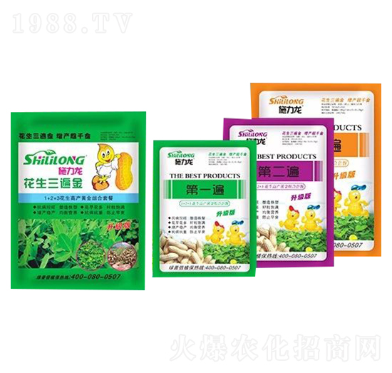 ���������-ʩ����-�G����