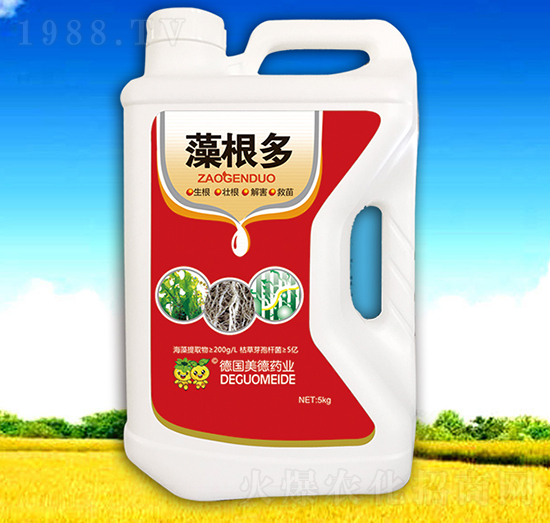 �����-��������