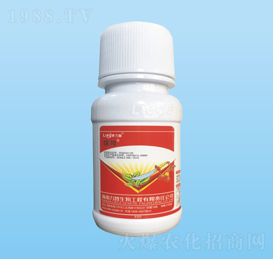 �܎�������-��������