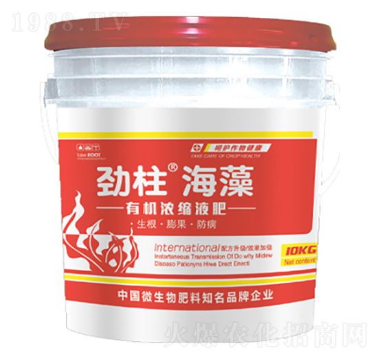 �ЙC(j��)��sҺ��-����������-형r�