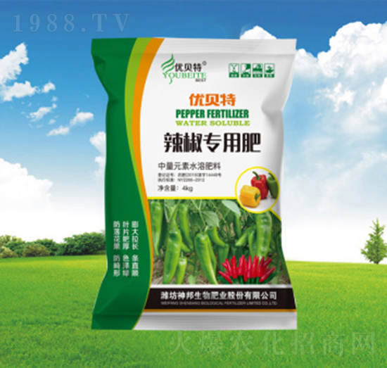 �������÷�-��(y��u)ؐ��-�������