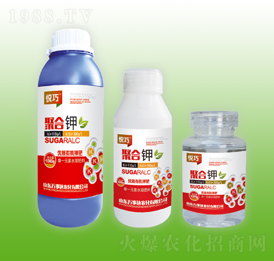 �ۺ��-����-�f���_