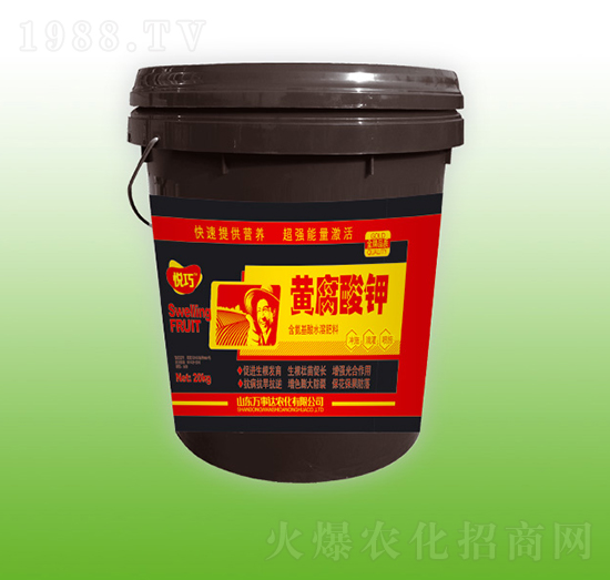 �S�����-����-�f���_