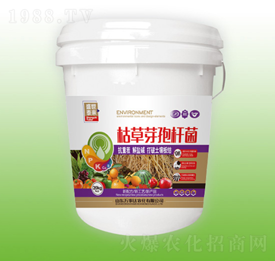 �ݲ�ѿ�ߗU��-ʢ��̩��-�f���_(d��)