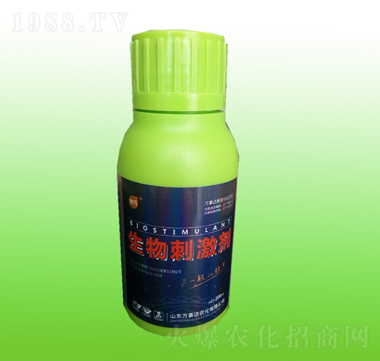 ����̼���-����-�f���_(d��)