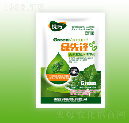 �G���h-����-�f���_(d��)